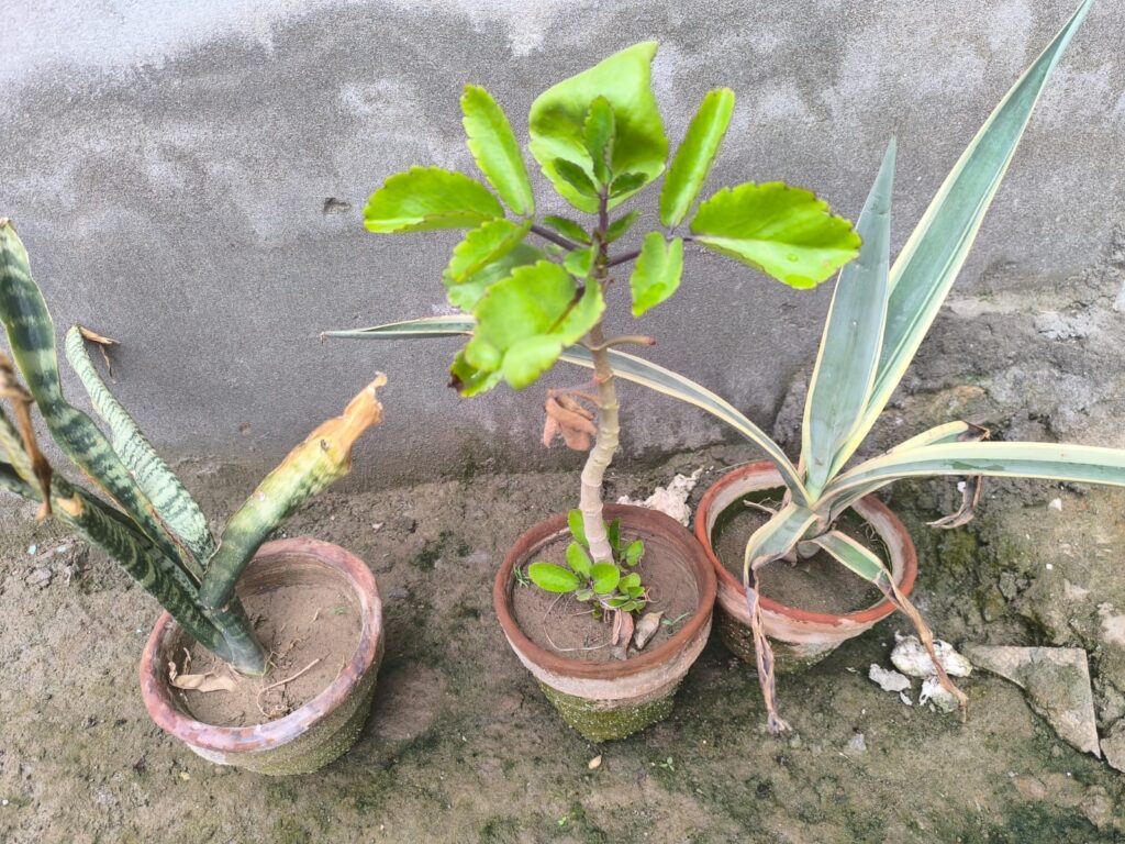 whatsapp image 2026 04 21 at 1.47.35 pm
